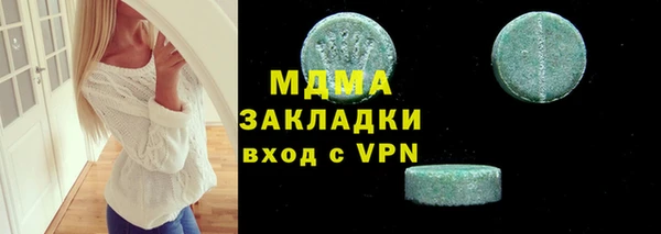 индика Алексин