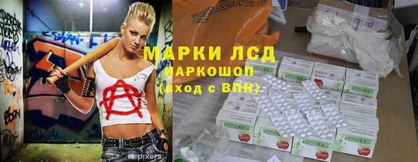 индика Алексин