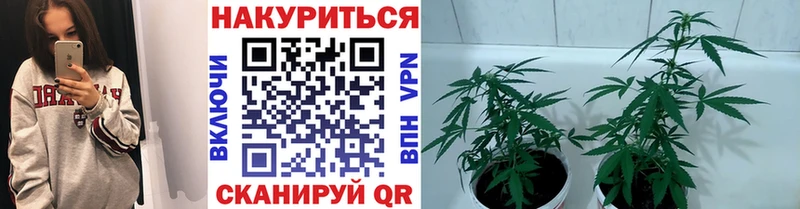 как найти   Билибино  МАРИХУАНА OG Kush 
